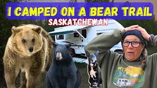 BEAR in Camp!!! Solo Boondocking the Wilds of Saskatchewan