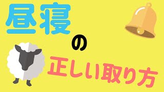 昼寝の正しい取り方