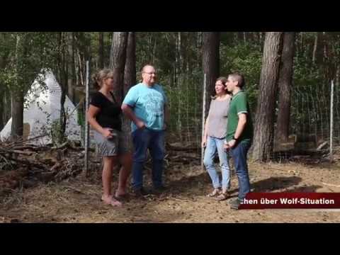 DIE HARKE vom 21.09.2018