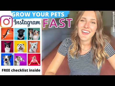 HOW TO: Grow your pets instagram in 6 steps! FREE instagram checklist inside to accelerate growth!