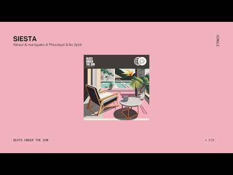 flâneur & marsquake & Phlocalyst & No Spirit - Siesta