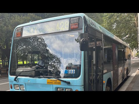 Transit Systems Kingsgrove m/o 3842 Scania L113CRL Ansair Orana Sydney Twilight Artist Alley