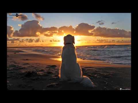 Alexandre Bergheau - Intro [FSOE300]