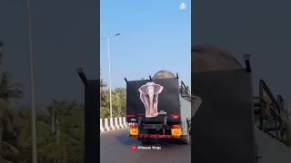 കാവേരിയുടെ യാത്ര i kaveri elephant malappuram aana kaveri shorts