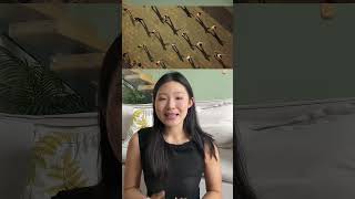 5 Unique Experiences to Try in China 🇨🇳