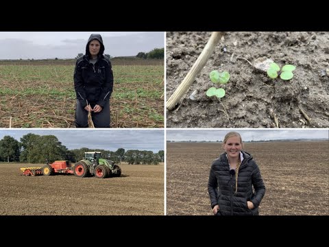 Herbizideinsatz und Schädlingskontrolle im Winterraps 2021