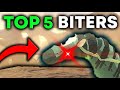 TOP 5 ANKLE BITERS In Creatures Of Sonaria