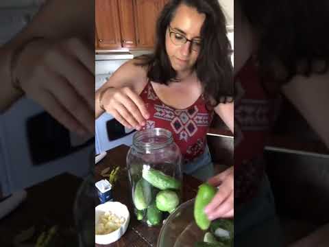 Making Lacto Fermented Pickles #foodpreserving #preserving #fermenting #fermentation #pickles #