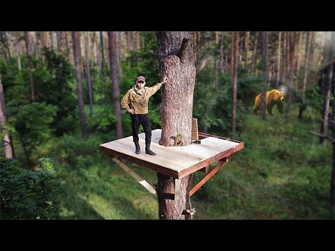 Building a cozy TREE HOUSE in a wild forest! | Part 1
