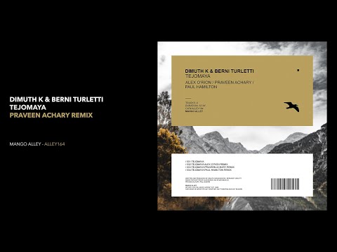 Dimuth K & Berni Tuletti  - Tejomaya (Praveen Achary Remix)