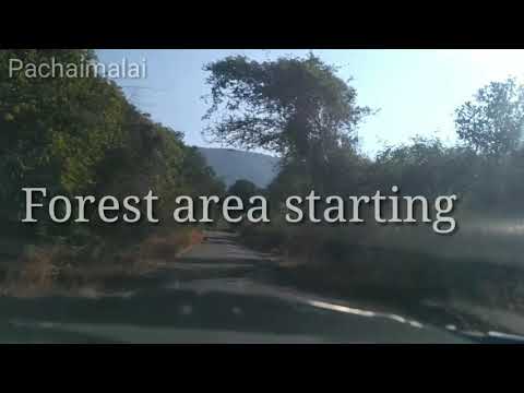 download lagu mp3 mp4 Pachamalai, download mp3 Pachamalai free download mp3, download mp3 Pachamalai