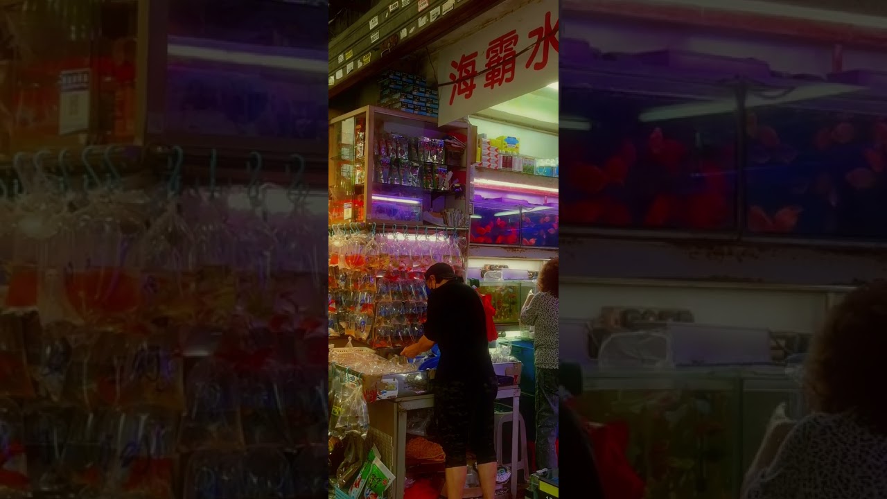 YouTube Short thumbnail