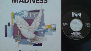 MADNESS - WINGS OF A DOVE - WINGS OF A DOVE 12&quot; (REMIX)