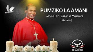 Download lagu PUMZIKO LA AMANI - FRT. SEZARIUS MASSAWE (MSHERIA) mp3