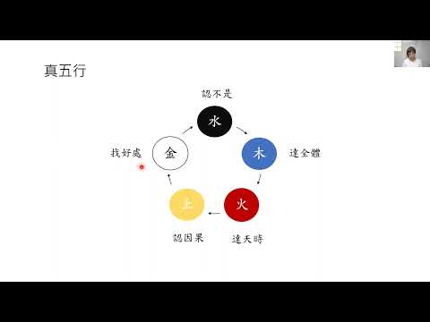 真 五行