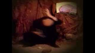 In My African Dream -Johnny Clegg and Savuka