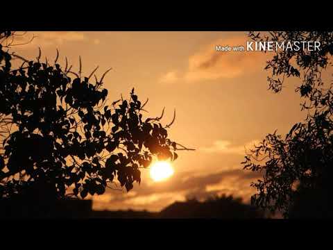 Dua puluh empat maret