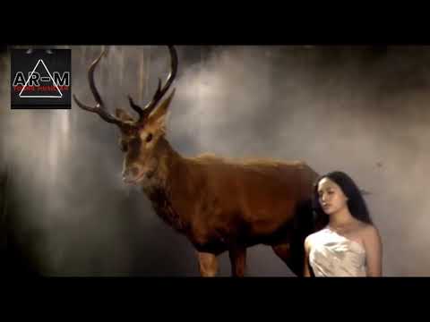 AR-M - Sunshine #2022#тренды