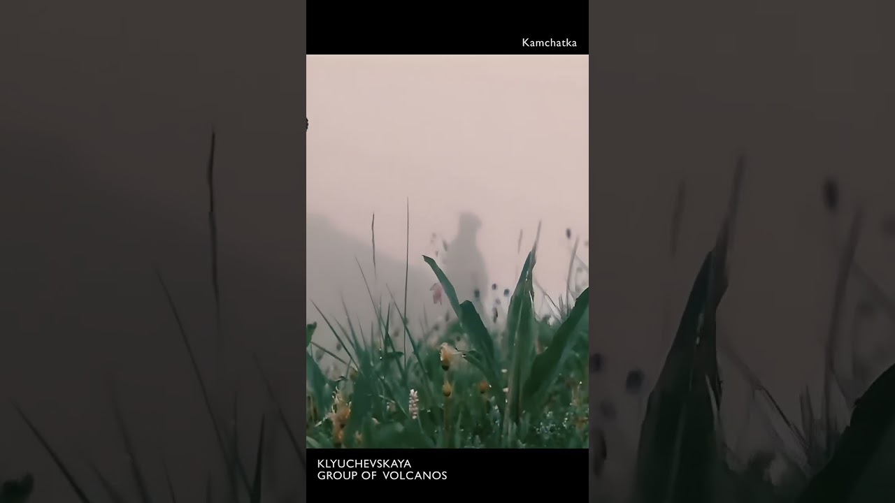 to TOO to TOOO to TOOOO (Enhanced 4K)