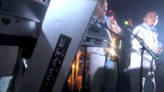 Adios Amor in Memphis