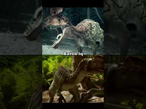 Cryolophosaurus vs Dilophosaurus #shorts #dinosaur #debate #edit