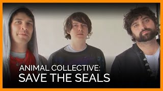 Animal Collective&#39;s &#39;Save the Seals&#39; Photo Shoot