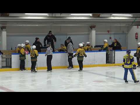 1.11.2020 - Ilves Ringette D vs Lukko