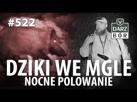 Darz Bór odc. 522 Dzicza huczkowa noc