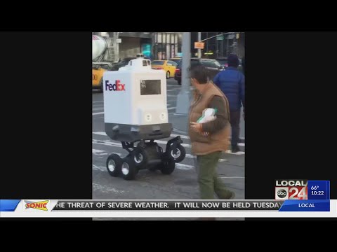 Fedex Flushing Ny