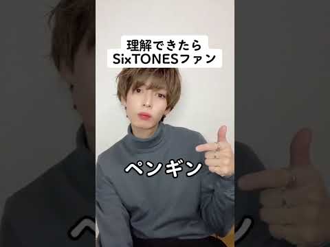 【スト担集合】SixTONESのファンしかわからない用語2#アイドル #tiktok #ジャニーズ #ジャニオタ #sixtones