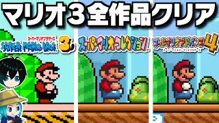 【全作品12時間マラソン】FC・SFC・GBAのスーパーマリオブラザーズ3をぶっ通し攻略