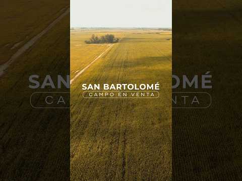Campo agricola en venta | En Colonia San Bartolomé, Córdoba.