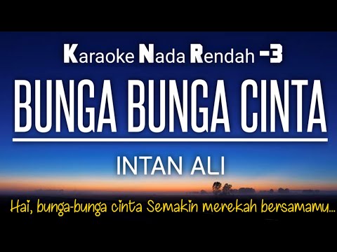 Bunga Bunga Cinta Intan Ali Karaoke Nada Rendah -3‼️