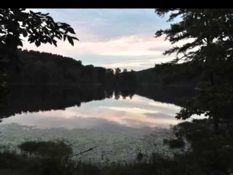 Relax to the Bible - Psalm 42