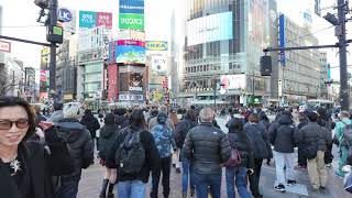 Chaos & Beauty: Crossing Shibuya Scramble in 4K