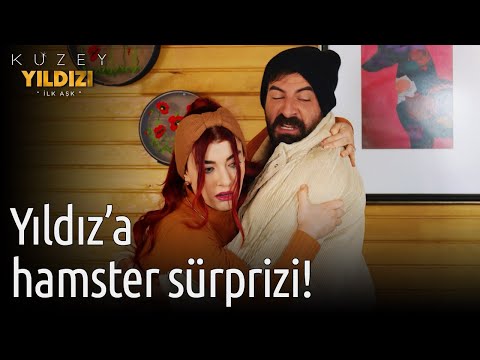 Kuzey Yıldızı İlk Aşk 47. Bölüm - Yıldız'a Hamster Sürprizi!