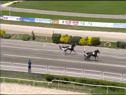 Trotto 03/05/2015 - 1° corsa Speed Race Batteria B