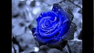 Blue Rodeo ~ Rose-Coloured Glasses (Remix)