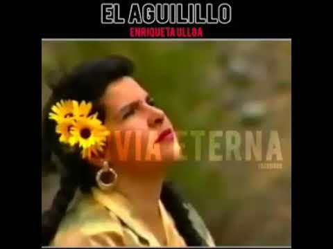 Enriqueta Ulloa.   Aguilillo