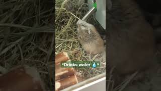 Miniature vidéo