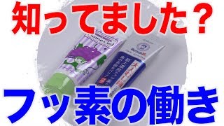 知ってるようで知らない？フッ素の働き