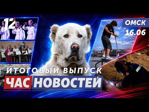 Хозяин избивает алабая / 31 ДТП с самокатами / Горячую воду вернут? Новости Омска