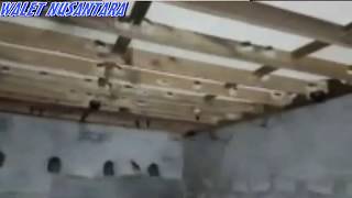 Download lagu SUARA INAP 'RAJA SALMAN' mp3 Download lagu SUARA INAP 'RAJA SALMAN' mp3