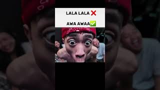 Download lagu AWA AWA @Robbyadelpantjoro #robdoggang #robbypantjoro #fyp #funny mp3