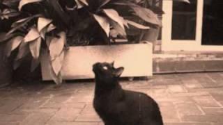 I don't want to play football - song by Belle & Sebastian