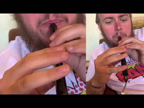 WARBL quick test in whistle mode