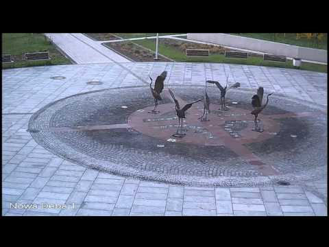 Lasowiak TV – transmisja na żywo