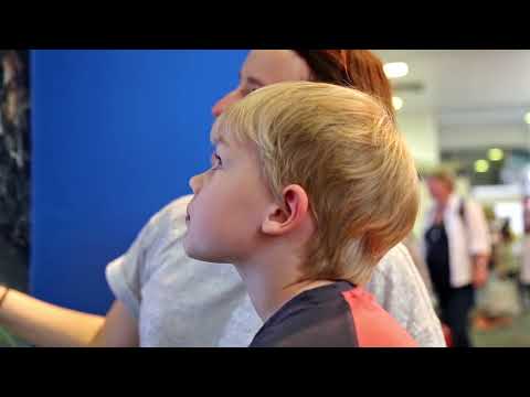 Brisbane Festival - Customer Success Story