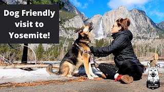 How Dog Friendly is Yosemite | Yosemite Valley Tour | Female Solo Travel Vlog | Sponsored by Waggle