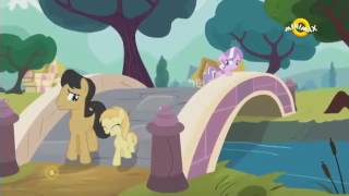 Kadr z teledysku The Pony I Want To Be (Czech) tekst piosenki My Little Pony: Friendship Is Magic (OST)